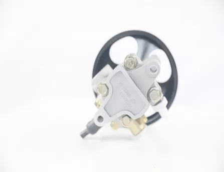 Steering booster pump