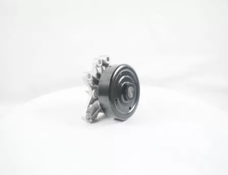 Water pump Lifan X60