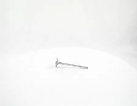 Exhaust Valve CHERY T11