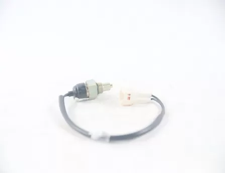 Reverse switch A101  CS35