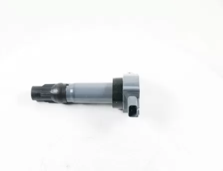 Ignition coils  D20