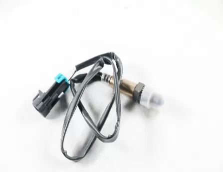 Oxygen Sensor - Front  D20
