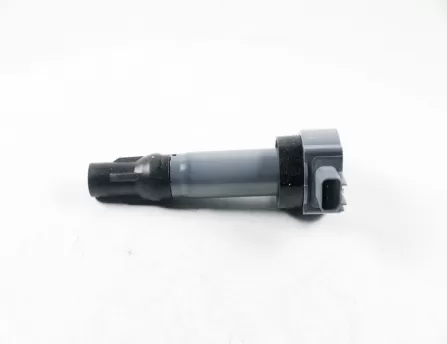 Ignition coils  E150