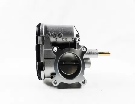 Throttle body assembly  X25