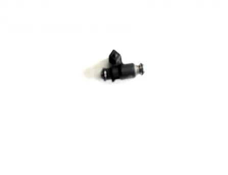Fuel injector  Jinying