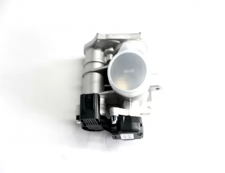 Throttle body assembly  FC