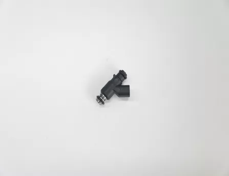 Fuel injector  Alsvin V5