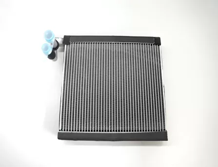 Evaporation box core  CS15