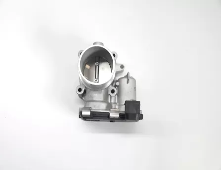 Throttle body assembly  CS55