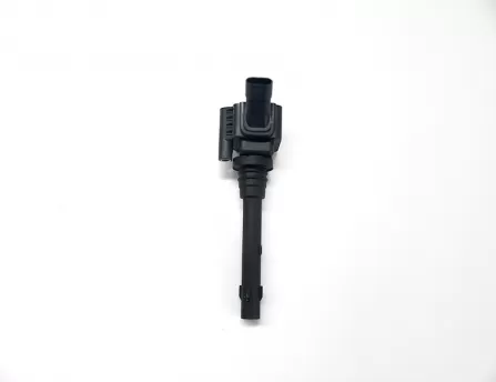 Ignition coils  Raeton