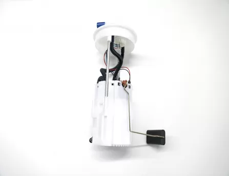 Gasoline pump assembly  Raeton