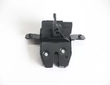 Back door lock  Geometry C