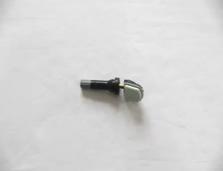 Tire pressure sensor  Tiggo 2