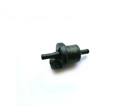 Carbon canister control valve BYD F0