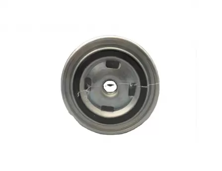 Diesel filter JAC T8