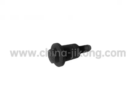 Timing chain support bolt Tiggo 3