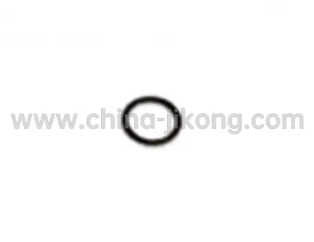 Ring seal(1) Tiggo 3