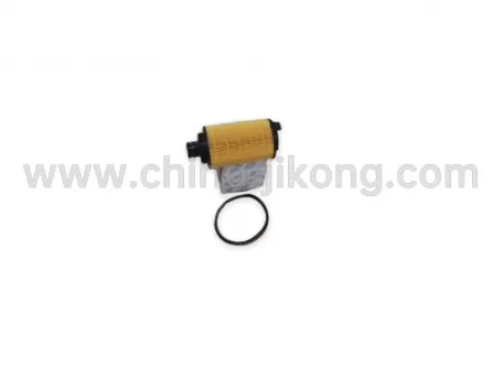 Oil filter (filter element + filter ring) Tiggo 3
