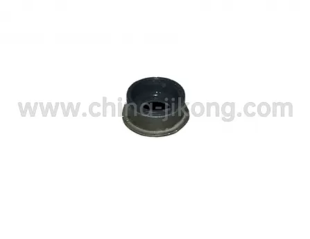Selector shaft seal Tiggo 3