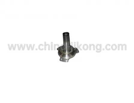 bird weekend Tiggo 3