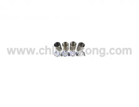 Piston group (bushing+piston+pin+plug+ring) QQ6