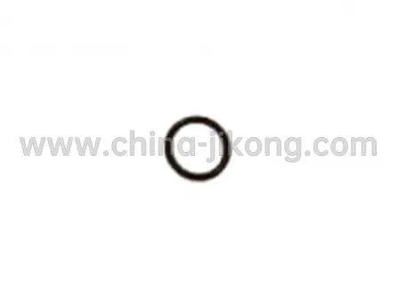 Ring seal QQ6