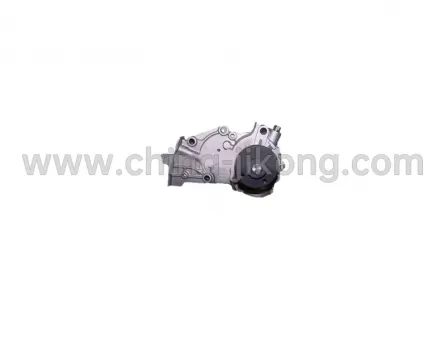 Water pump 1.1L QQ6