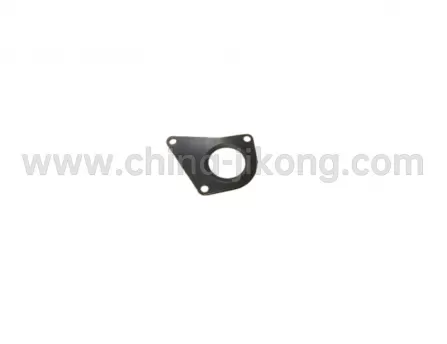 thermostat gasket  QQ6