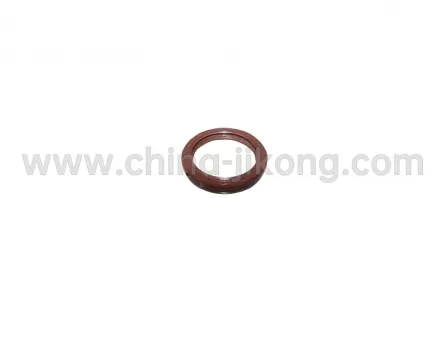 Front crankshaft oil seal QQ6