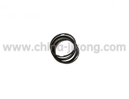 Piston rings (2)Celliya