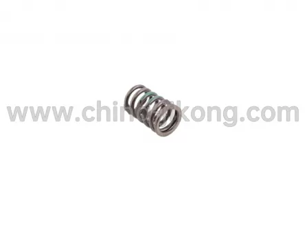 valve spring Celliya