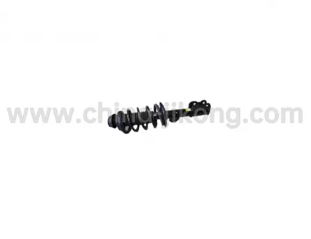Right front shock absorber assemblyCelliya