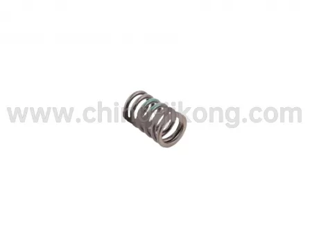Valve spring X50