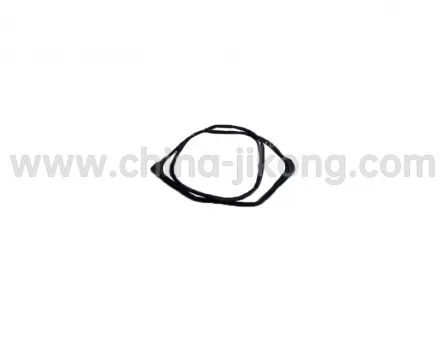 Left rear door sealing stripX50