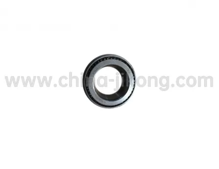 Differential bearings (rollers)X50