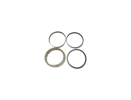 Piston Ring (Standard) KitSafe