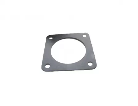 Throttle gasket (2) Safe