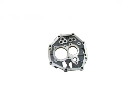 Gearbox gasket 4/2 (mounting plate)Safe