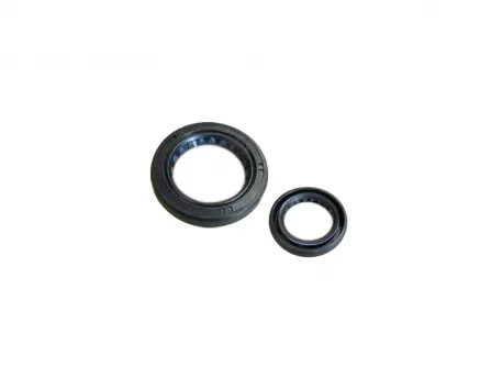 Transmission input shaft oil seal Safe