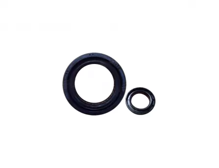 Transfer case oil seal, front and rear flange(2) Safe