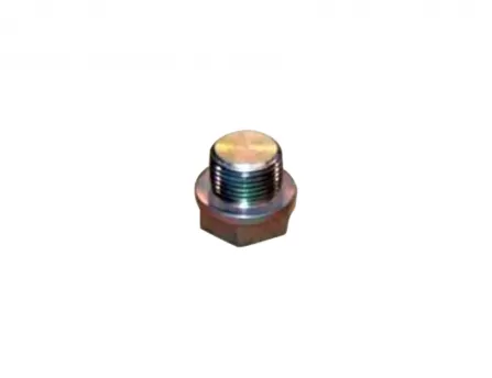 Rear axle oil filler plug (3) Safe
