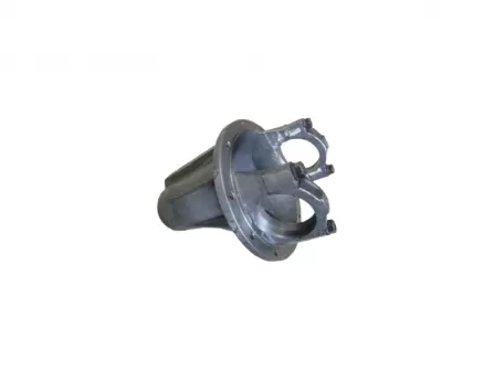 Front axle differential case, 4/4Safe