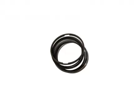 Piston ring standardHaval H3